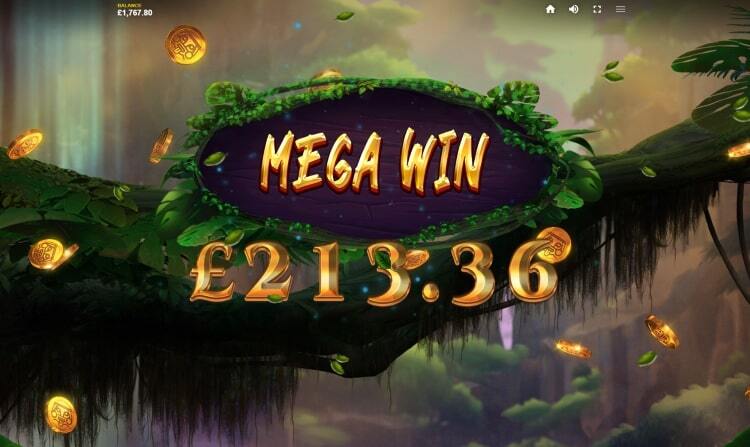 Mega win in Wild Expedition casino game