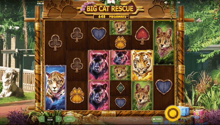 Big Cat Rescue Megaways spelen