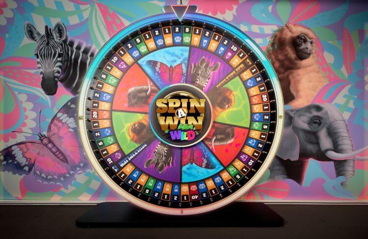 The new game show Spin A Win Wild Live