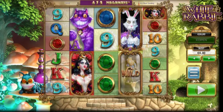 Best uitbetalende gokkast White Rabbit Megaways