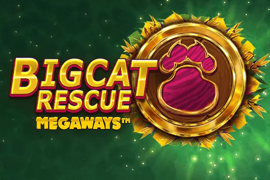 Big Cat Rescue Megaways demo spelen