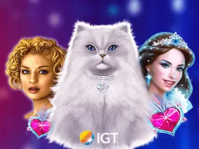 Casino toernooi bij Jacks